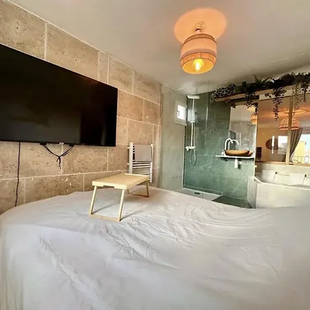 All New Loft Architecte - Bain Duo & Cinema * アグド